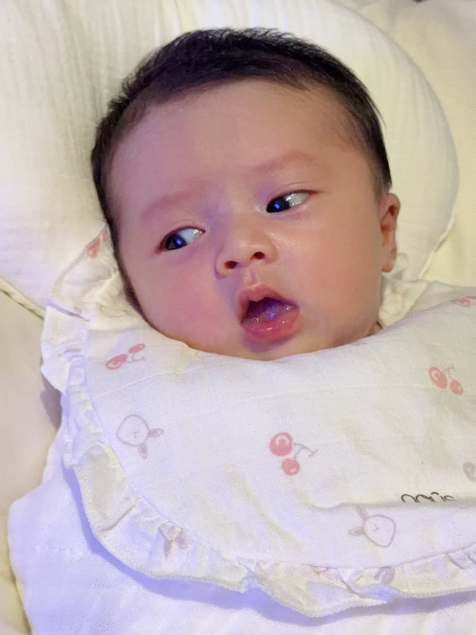 Thân thế Phương Lê - vợ nam NSƯT cải lương vừa có con ở tuổi U50 - Ảnh 5. Thân thế Phương Lê - vợ nam NSƯT cải lương vừa có con ở tuổi U50 - Ảnh 5.