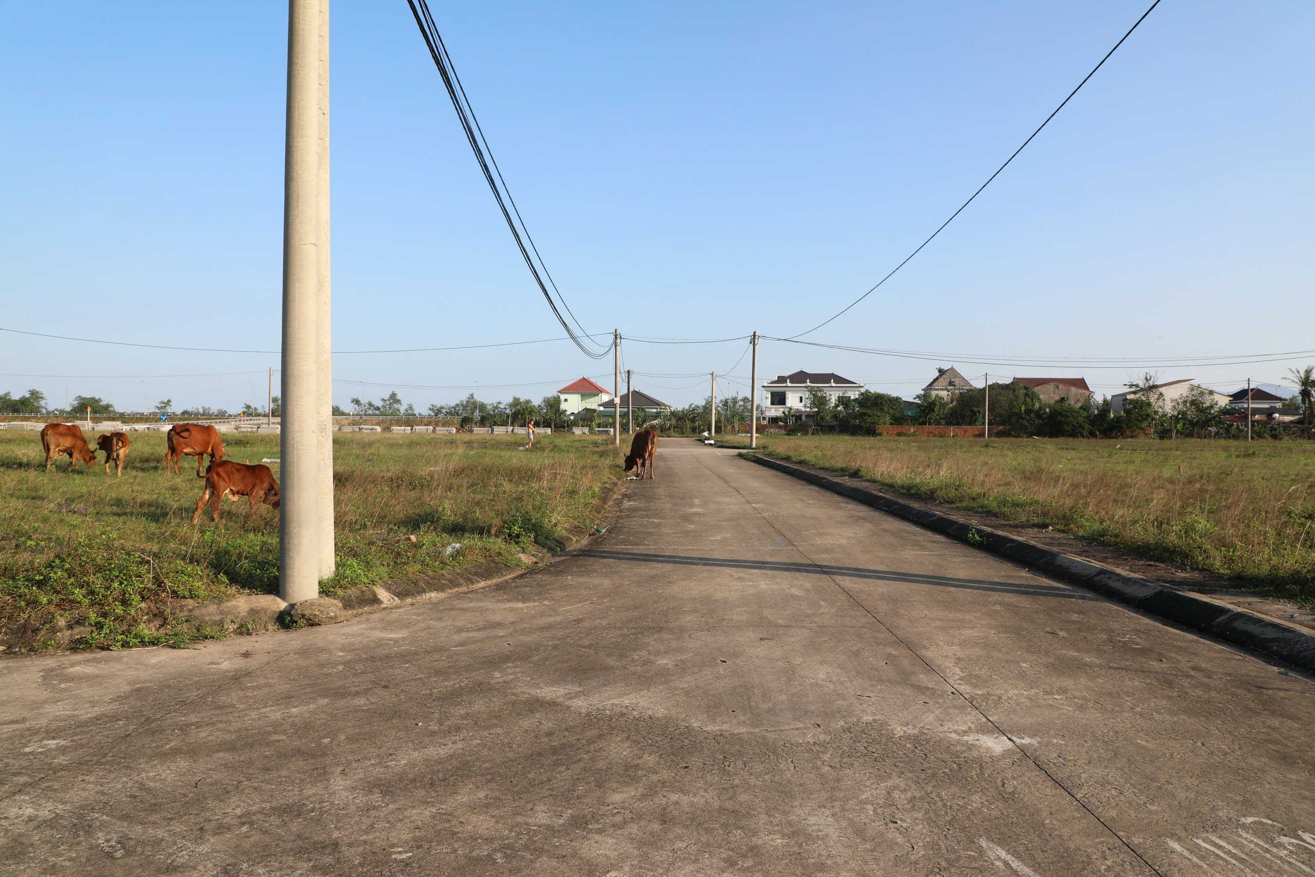 Tái định cư khẩn cấp, dân quanh năm chạy lụt dự án vẫn đứng yên - Ảnh 4.