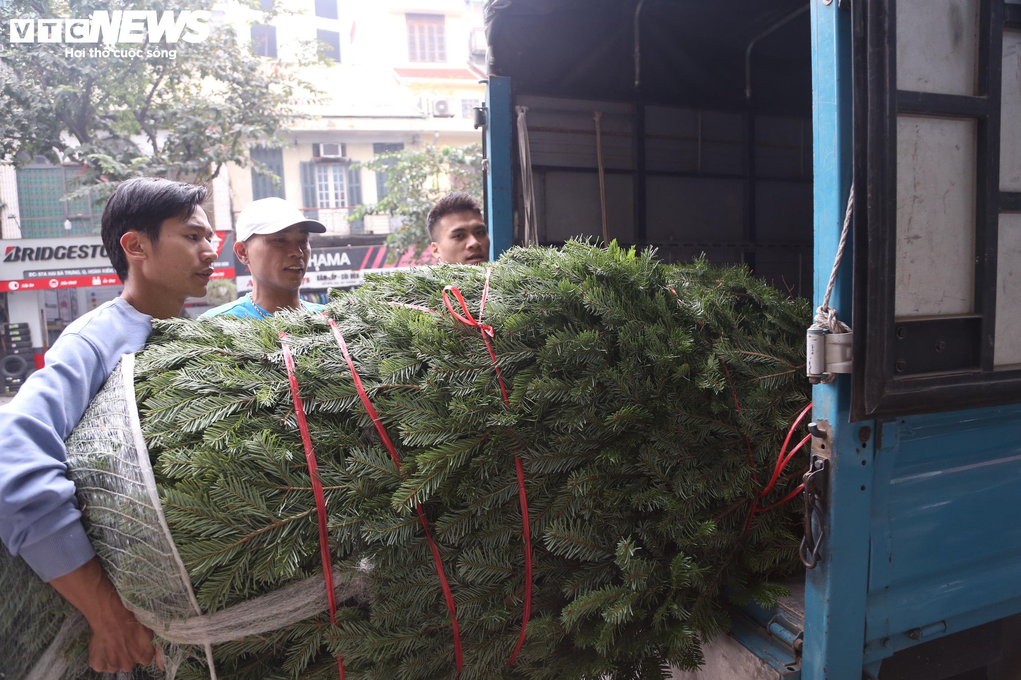 Đại gia Hà Nội chi hơn 100 triệu đồng mua thông tươi nhập khẩu đón Giáng sinh - Ảnh 10.