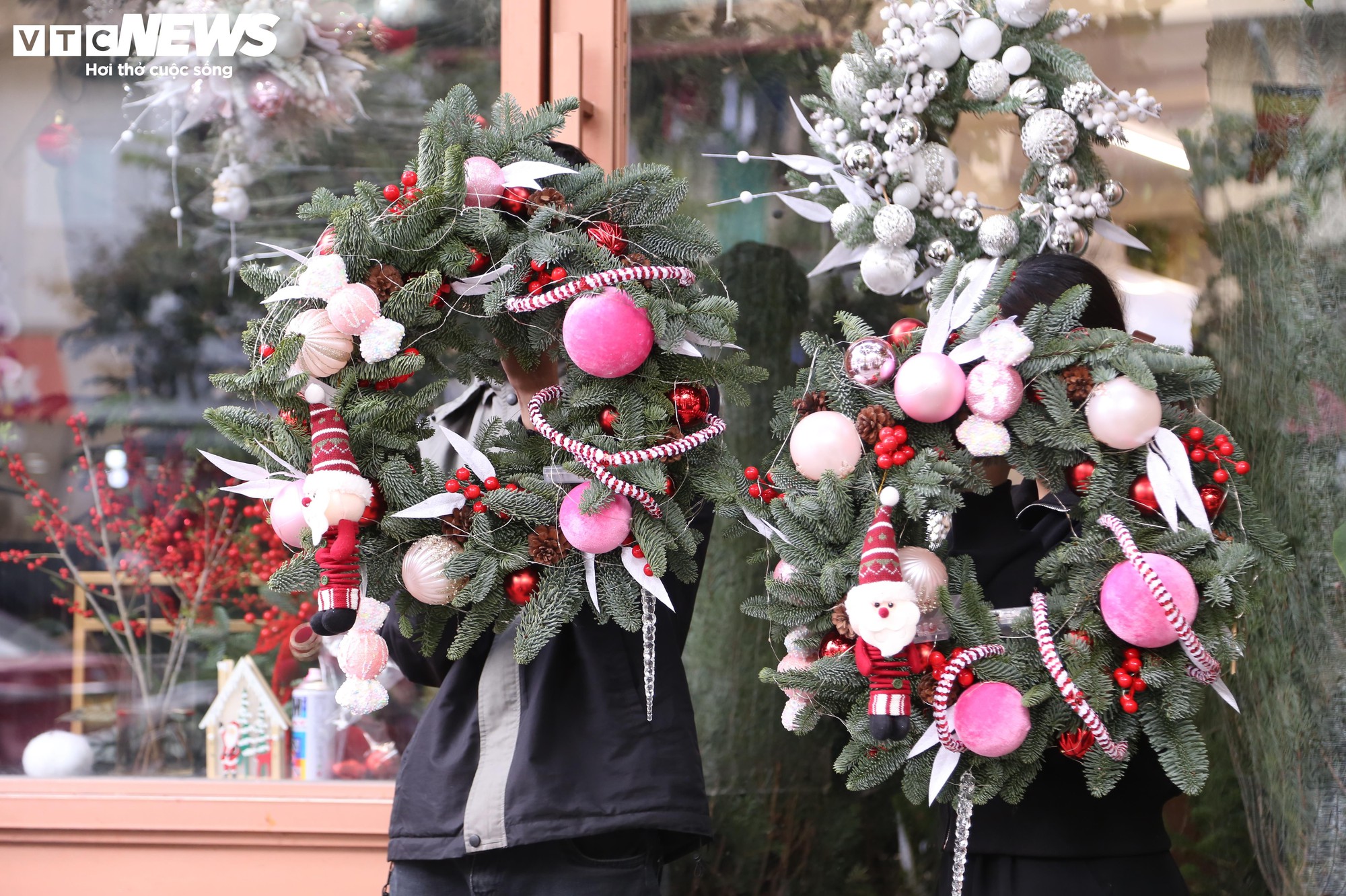 Đại gia Hà Nội chi hơn 100 triệu đồng mua thông tươi nhập khẩu đón Giáng sinh - Ảnh 9.