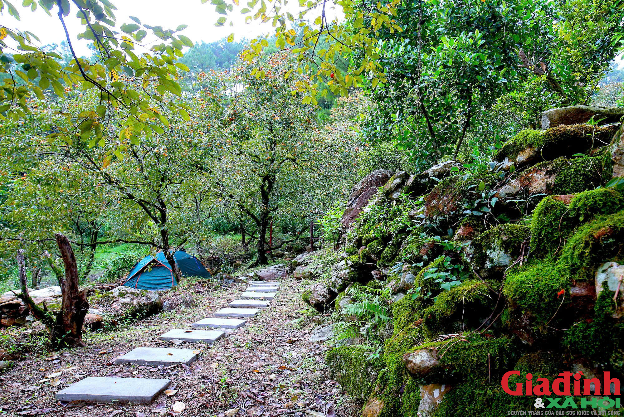 Chàng trai bỏ việc lương cao ở nước ngoài về quê ủ rượu hồng - Ảnh 1. Chàng trai bỏ việc lương cao ở nước ngoài về quê ủ rượu hồng - Ảnh 1.