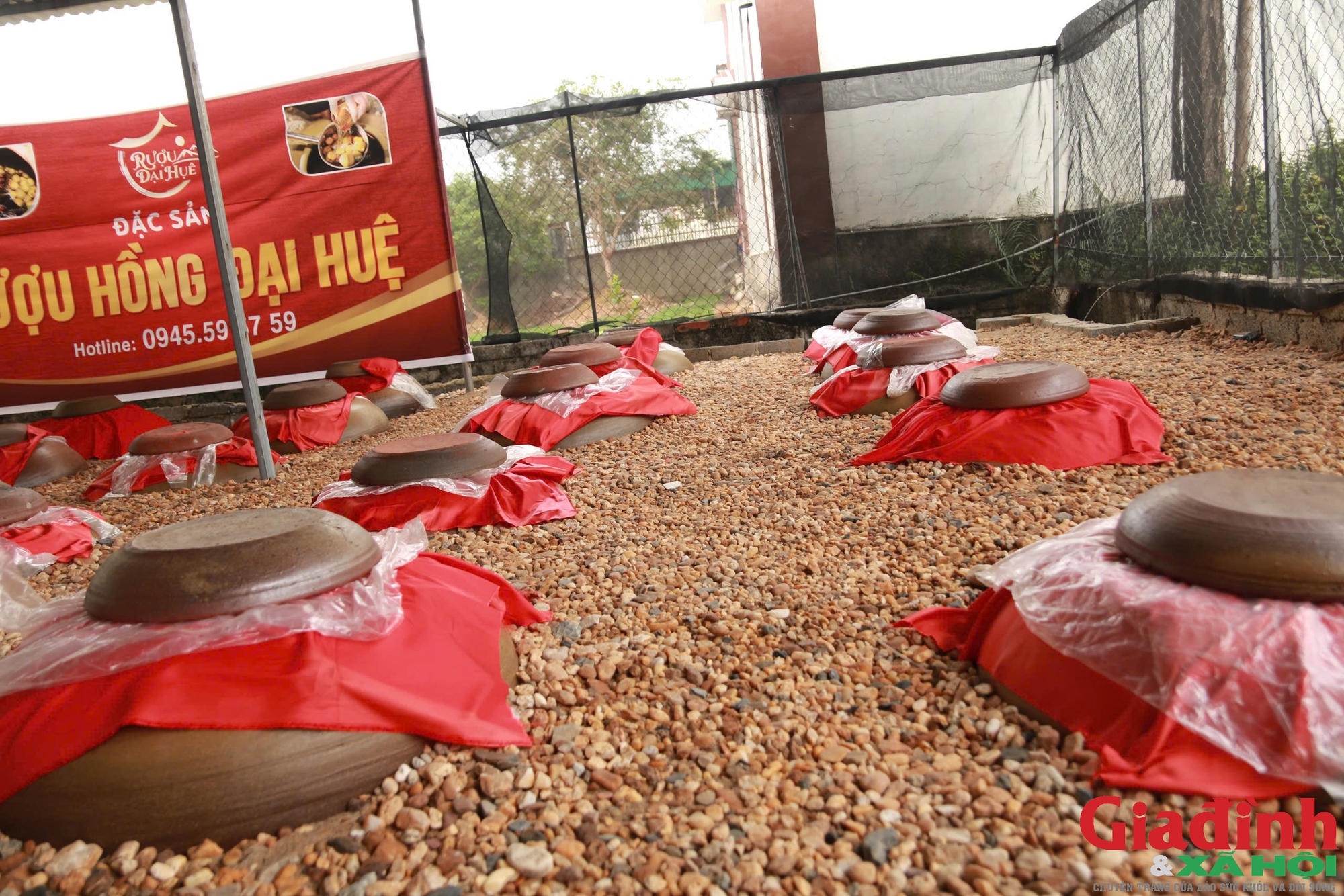 Chàng trai bỏ việc lương cao ở nước ngoài về quê ủ rượu hồng - Ảnh 11. Chàng trai bỏ việc lương cao ở nước ngoài về quê ủ rượu hồng - Ảnh 11.