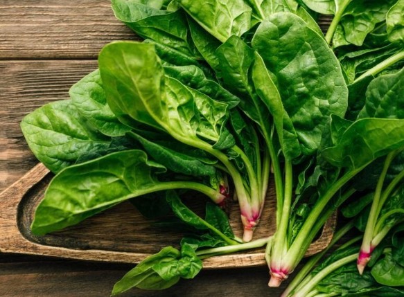 6 loại rau rẻ tiền, mùa đông người Việt nên ăn để ngăn ngừa tế bào ung thư - Ảnh 3. 6 loại rau rẻ tiền, mùa đông người Việt nên ăn để ngăn ngừa tế bào ung thư - Ảnh 3.