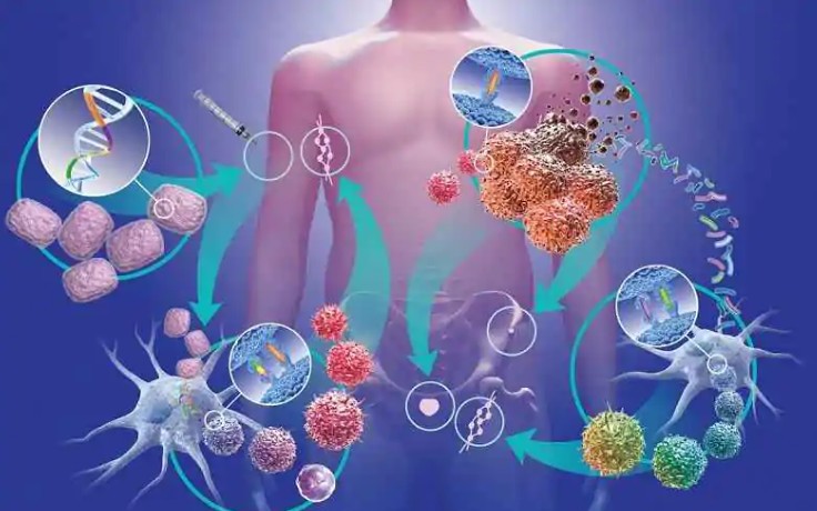 Ít ai ngờ loại lá rẻ tiền này lại được ví như 'nhân sâm xanh', giúp phòng bệnh hiệu quả - Ảnh 4. Ít ai ngờ loại lá rẻ tiền này lại được ví như 'nhân sâm xanh', giúp phòng bệnh hiệu quả - Ảnh 4.