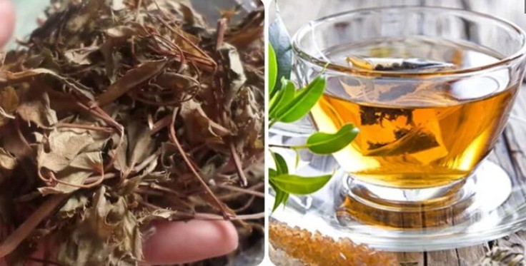 Ít ai ngờ loại lá rẻ tiền này lại được ví như 'nhân sâm xanh', giúp phòng bệnh hiệu quả - Ảnh 3.