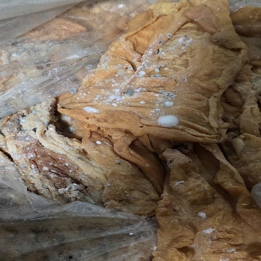 Kinh hãi, gần 2 tấn lòng lợn nấm mốc không rõ nguồn gốc xếp trong sân nhà dân - Ảnh 1. Kinh hãi, gần 2 tấn lòng lợn nấm mốc không rõ nguồn gốc xếp trong sân nhà dân - Ảnh 1.