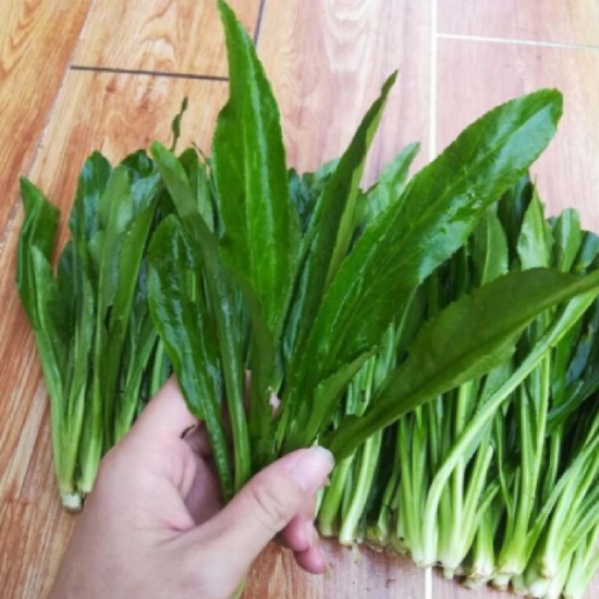 Loại rau rẻ tiền, mùa đông người Việt nên ăn để 'quét sạch mỡ máu', ngăn ngừa bệnh mạn tính - Ảnh 5. Loại rau rẻ tiền, mùa đông người Việt nên ăn để 'quét sạch mỡ máu', ngăn ngừa bệnh mạn tính - Ảnh 5.