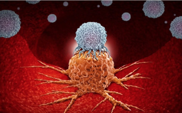 Tế bào ung thư sợ gì nhất?: Người Việt cần làm đúng và hiểu đúng để phòng bệnh