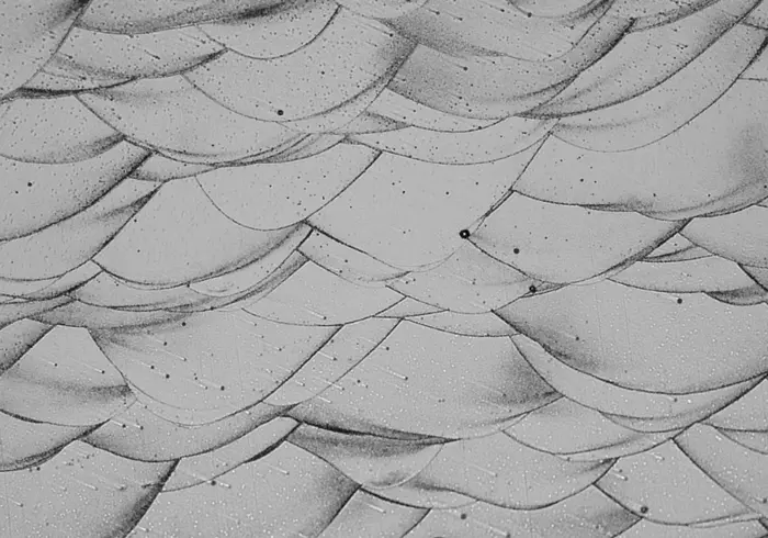 low-resmicroscope-image-of-a-new-3d-printed-aluminum-alloy-17659630204101948262211-1766104406287-1766104406617163512206.png