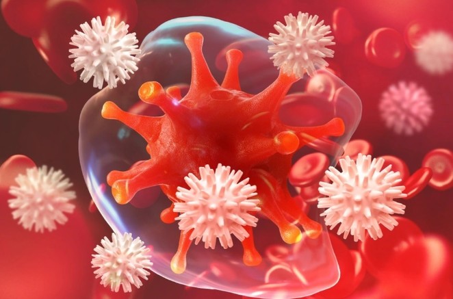 Tế b&agrave;o ung thư sợ g&igrave; nhất? H&oacute;a ra l&agrave; việc m&agrave; nhiều người Việt bỏ qua