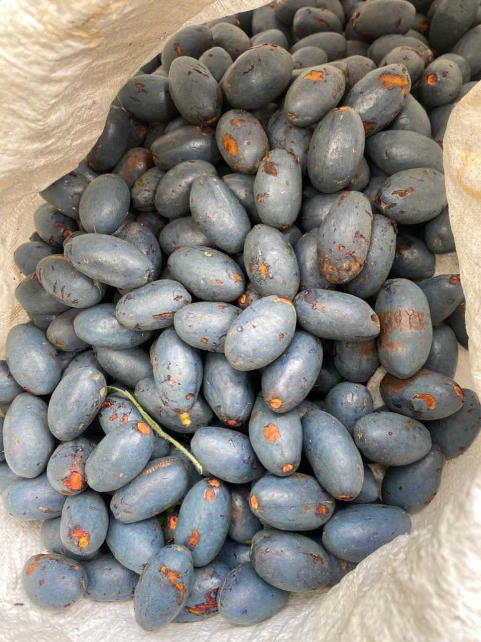 Gi&aacute; b&aacute;n quả cọ T&acirc;y Bắc tăng cao , người ti&ecirc;u d&ugrave;ng n&ecirc;n biết - Ảnh 3.