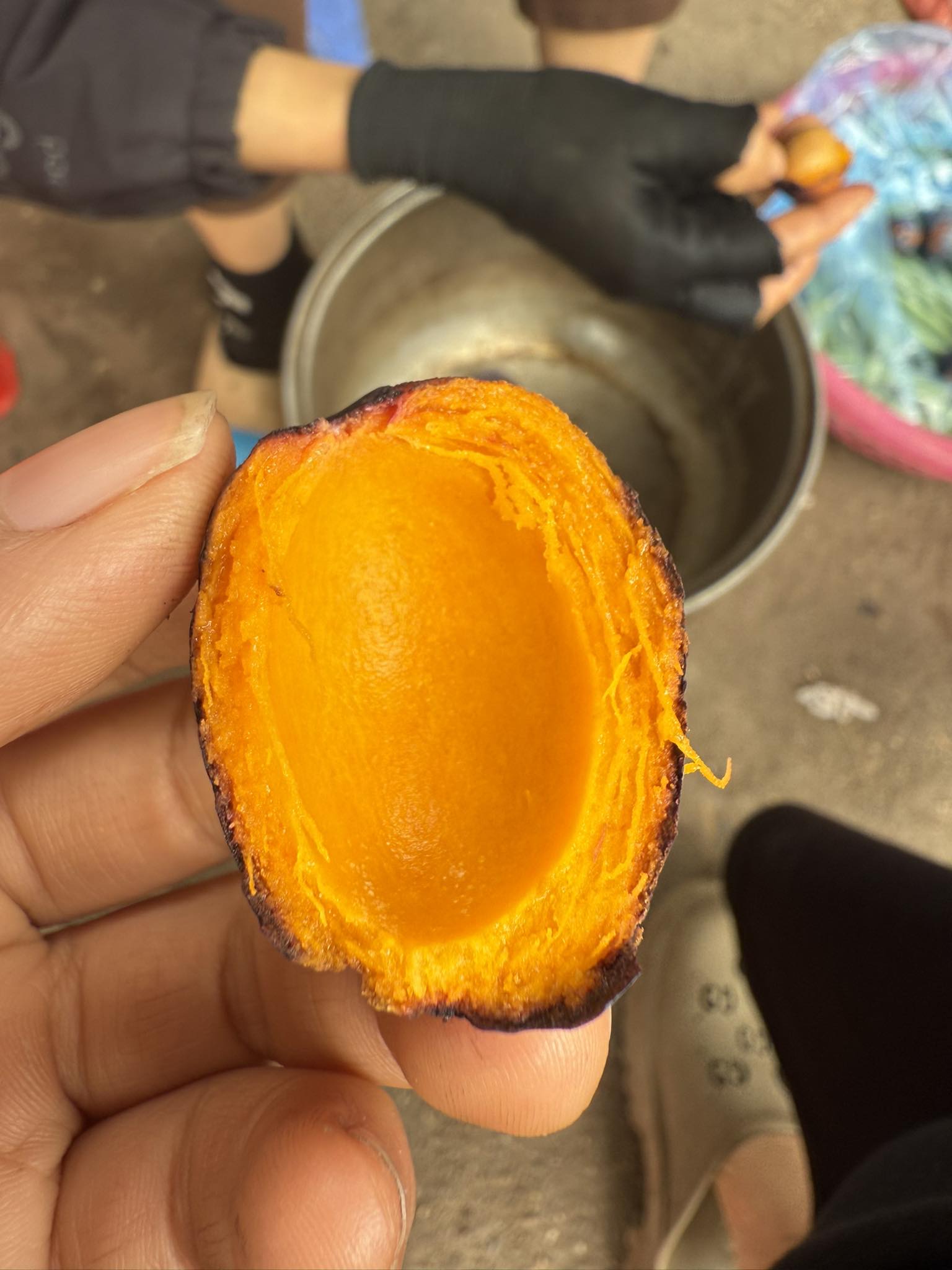 Gi&aacute; b&aacute;n quả cọ T&acirc;y Bắc tăng cao , người ti&ecirc;u d&ugrave;ng n&ecirc;n biết - Ảnh 4.