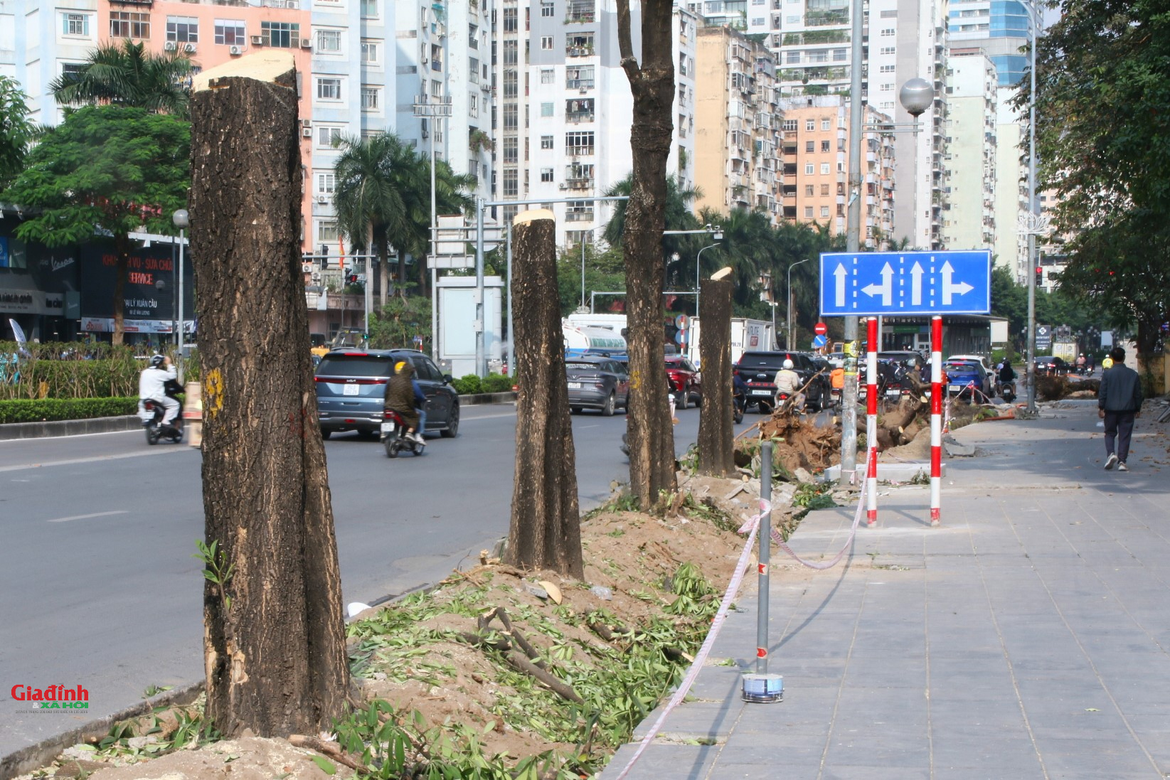 H&agrave; Nội: X&eacute;n h&egrave;, di dời 52 c&acirc;y xanh để mở rộng 'điểm n&oacute;ng' &ugrave;n tắc giao th&ocirc;ng - Ảnh 4.