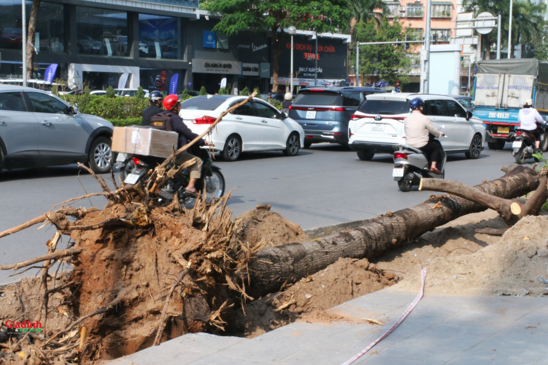 H&agrave; Nội: X&eacute;n h&egrave;, di dời 52 c&acirc;y xanh để mở rộng 'điểm n&oacute;ng' &ugrave;n tắc giao th&ocirc;ng - Ảnh 5.