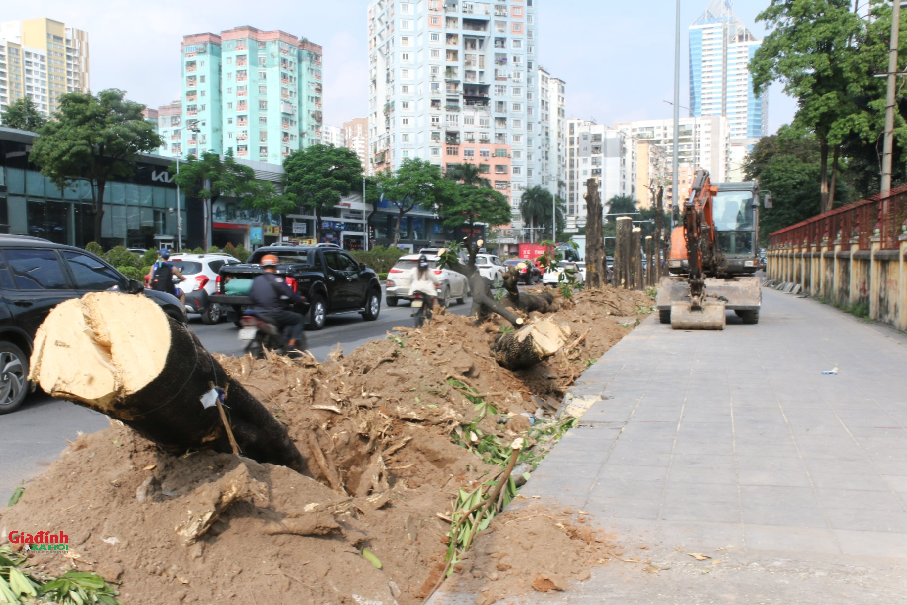 H&agrave; Nội: X&eacute;n h&egrave;, di dời 52 c&acirc;y xanh để mở rộng 'điểm n&oacute;ng' &ugrave;n tắc giao th&ocirc;ng - Ảnh 6.