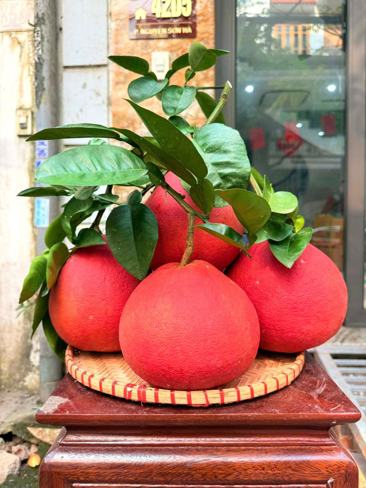 Những loại quả độc lạ chưa Tết đ&atilde; h&uacute;t kh&aacute;ch - Ảnh 1.