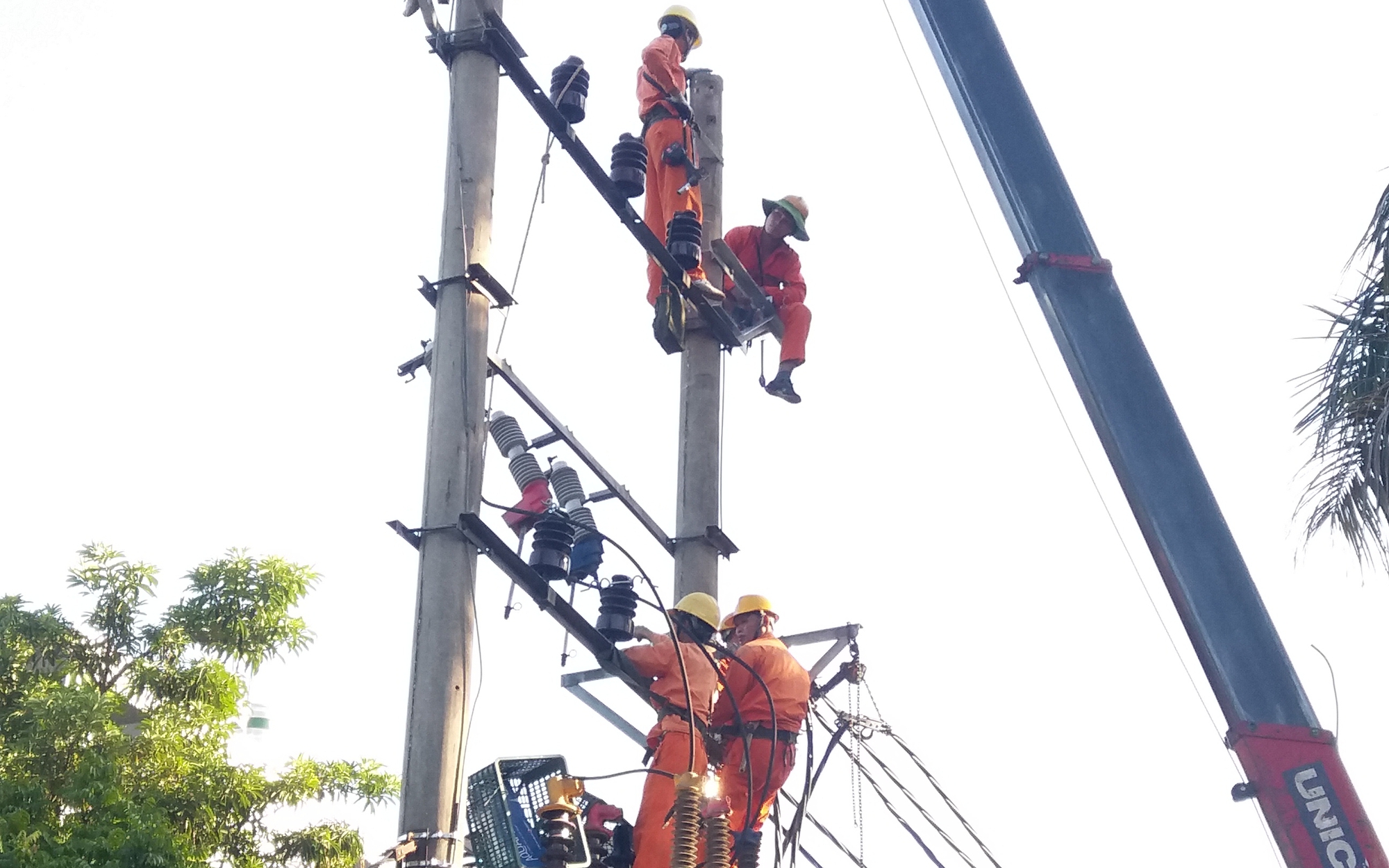 Lịch c&uacute;p điện Vĩnh Long tuần n&agrave;y (từ 22 &ndash; 28/12/2025): Số lượng khu d&acirc;n cứ mất điện từ s&aacute;ng sớm đến chiều tối tăng cao