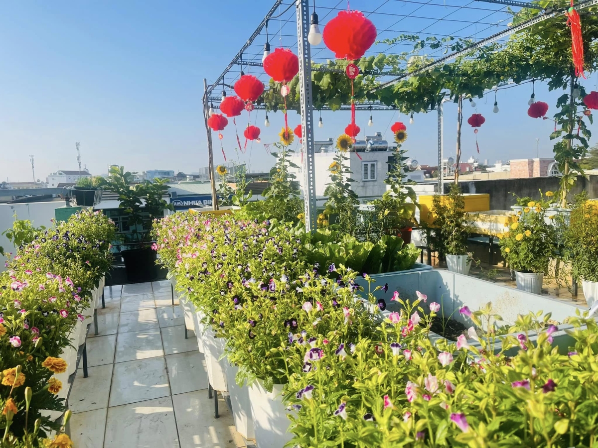 C&ocirc; g&aacute;i Đồng Nai biến s&acirc;n thượng 80 m2 th&agrave;nh khu vườn trĩu quả - Ảnh 7.