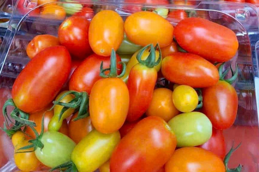 Thực phẩm 'vàng' giúp ngăn ngừa tế bào ung thư phát triển, người Việt nên ăn để kéo dài tuổi thọ - Ảnh 1.