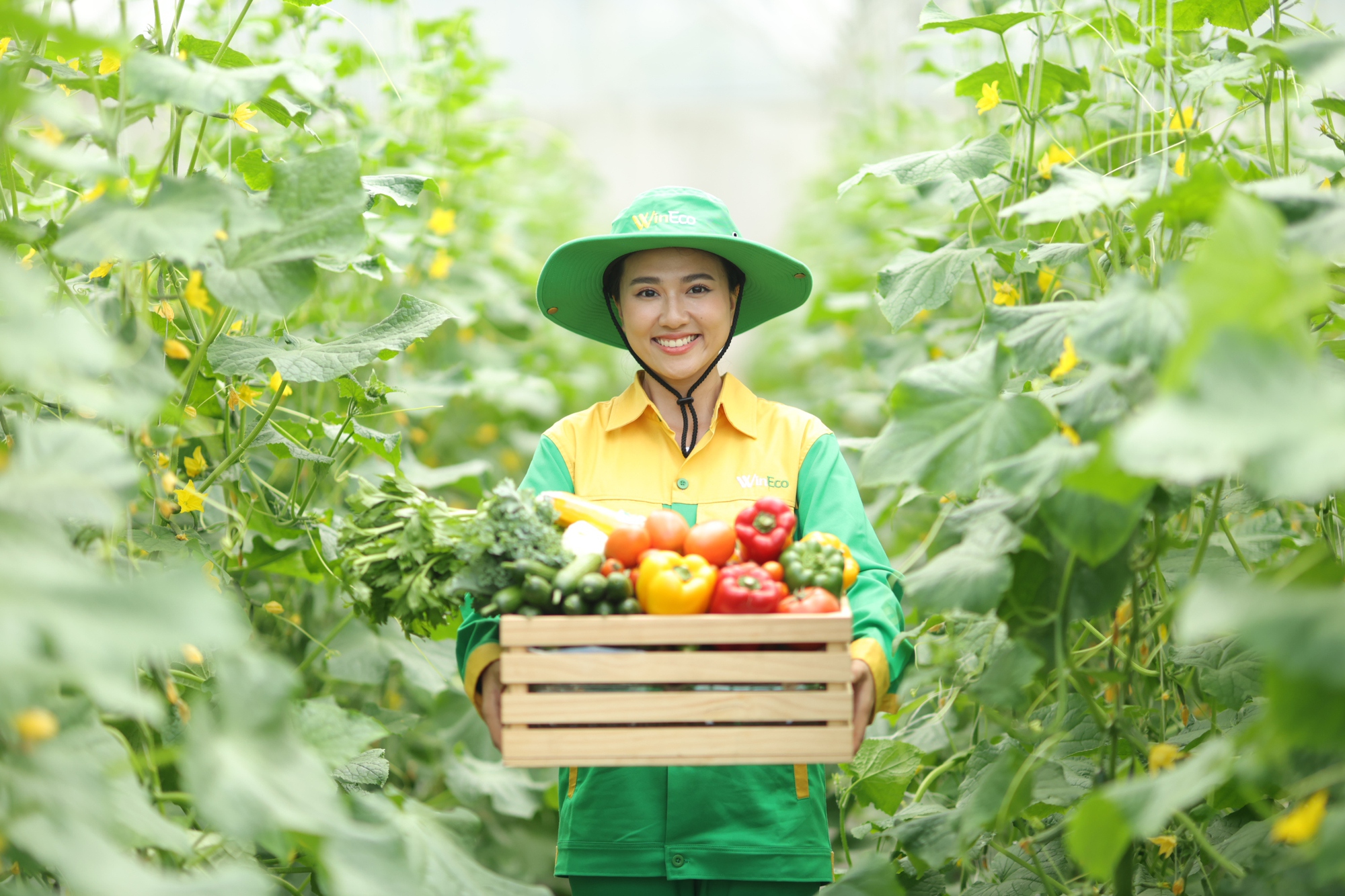 H&agrave;nh tr&igrave;nh rau sạch WinEco: Từ n&ocirc;ng trường đến b&agrave;n ăn Việt- Ảnh 1.