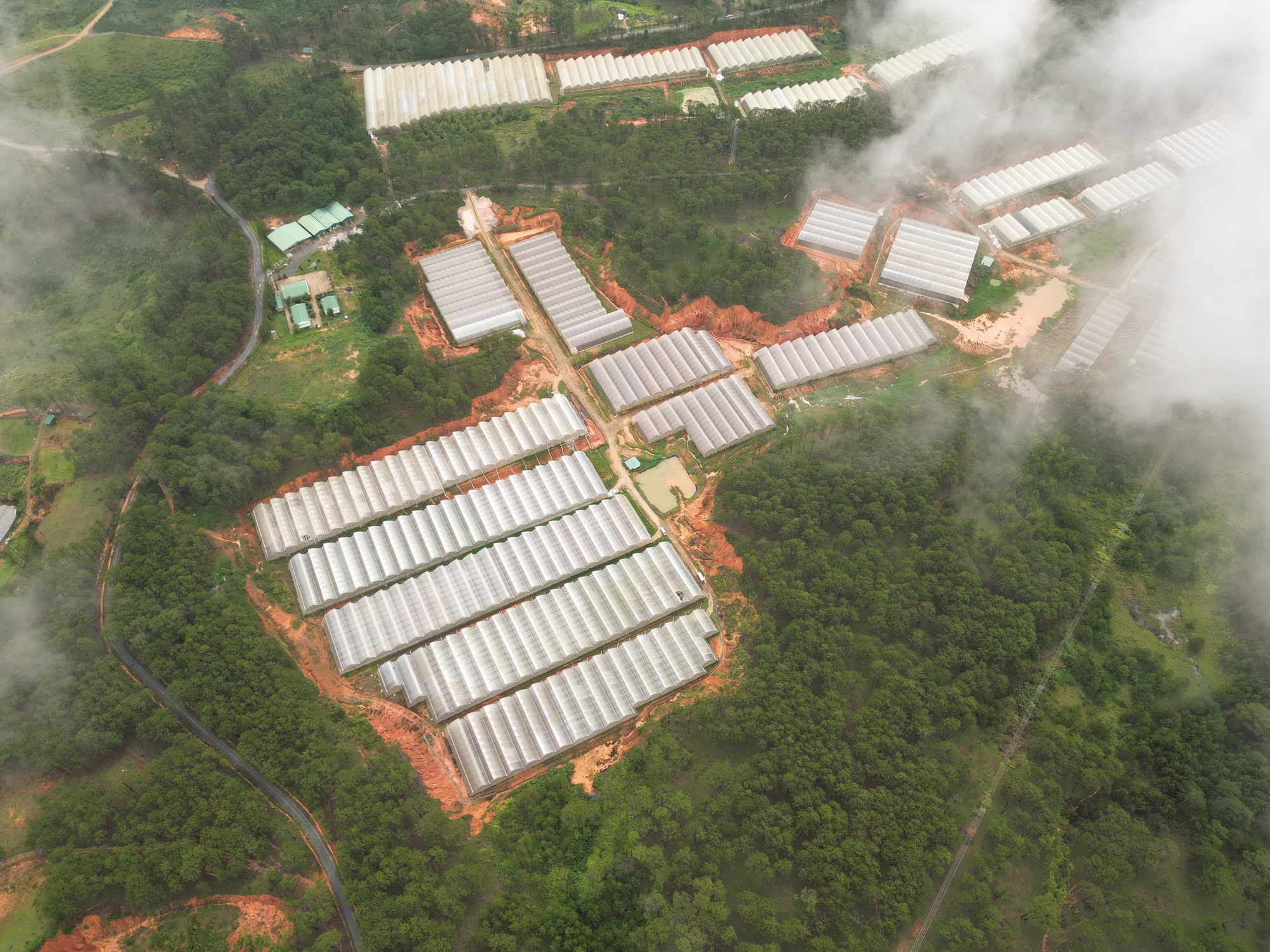 H&agrave;nh tr&igrave;nh rau sạch WinEco: Từ n&ocirc;ng trường đến b&agrave;n ăn Việt- Ảnh 2.