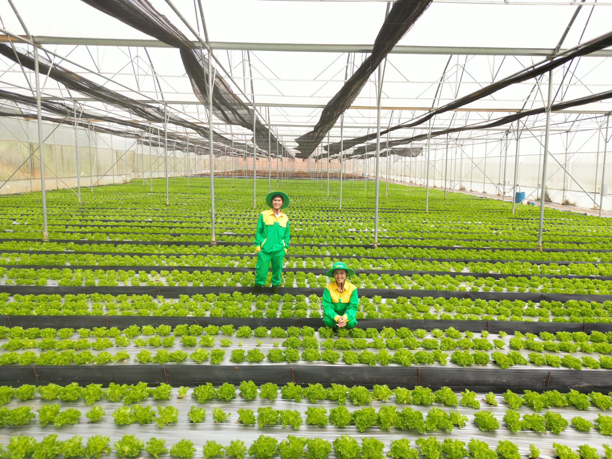 H&agrave;nh tr&igrave;nh rau sạch WinEco: Từ n&ocirc;ng trường đến b&agrave;n ăn Việt- Ảnh 3.
