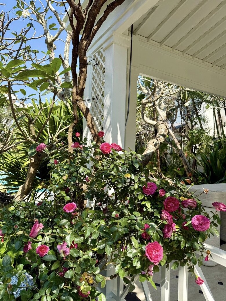 Đỗ Mạnh Cường v&agrave; căn biệt thự 2000 m&sup2; tạo kh&ocirc;ng gian sống l&yacute; tưởng cho c&aacute;c con - Ảnh 10.