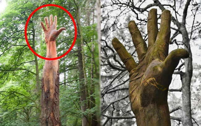 B&agrave;n tay khổng lồ mọc l&ecirc;n giữa rừng c&acirc;y g&acirc;y kinh h&atilde;i: Sự thật sốc đằng sau- Ảnh 2.