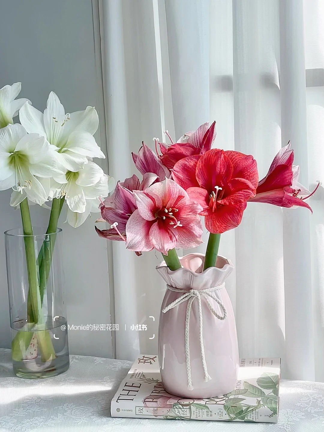 Nhiều chị em đang m&ecirc; đắm lo&agrave;i hoa n&agrave;y: Cắm b&igrave;nh cũng đẹp, để cả chậu cũng sang,&nbsp;Tết nh&igrave;n l&agrave; thấy gi&agrave;u - Ảnh 21.