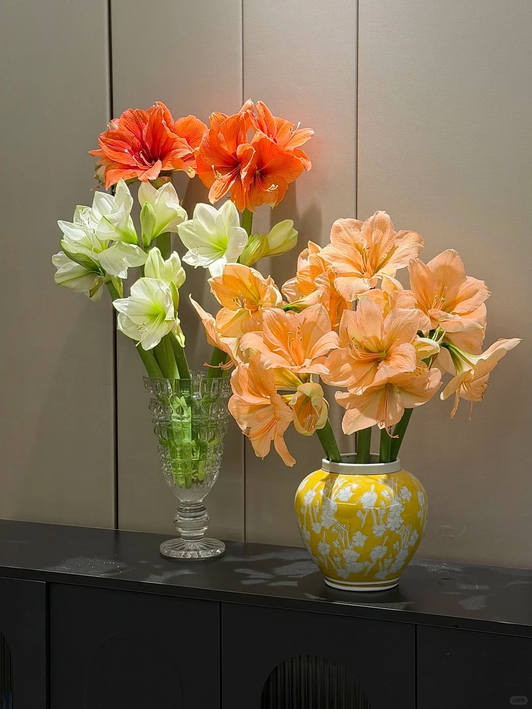 Nhiều chị em đang m&ecirc; đắm lo&agrave;i hoa n&agrave;y: Cắm b&igrave;nh cũng đẹp, để cả chậu cũng sang,&nbsp;Tết nh&igrave;n l&agrave; thấy gi&agrave;u - Ảnh 13.