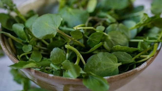 Tế bào ung thư 'sợ' gì nhất trong mâm cơm nhà bạn: 3 loại rau đang bán rẻ đầy chợ, người Việt nên ăn nhiều hơn - Ảnh 2.