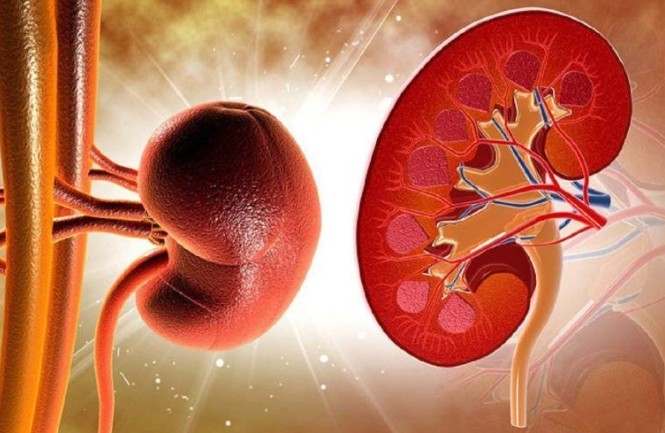 Chuyên gia Mỹ cảnh báo 4 món ăn dễ gây suy thận, hại thận, người Việt cần sớm thay đổi - Ảnh 2.