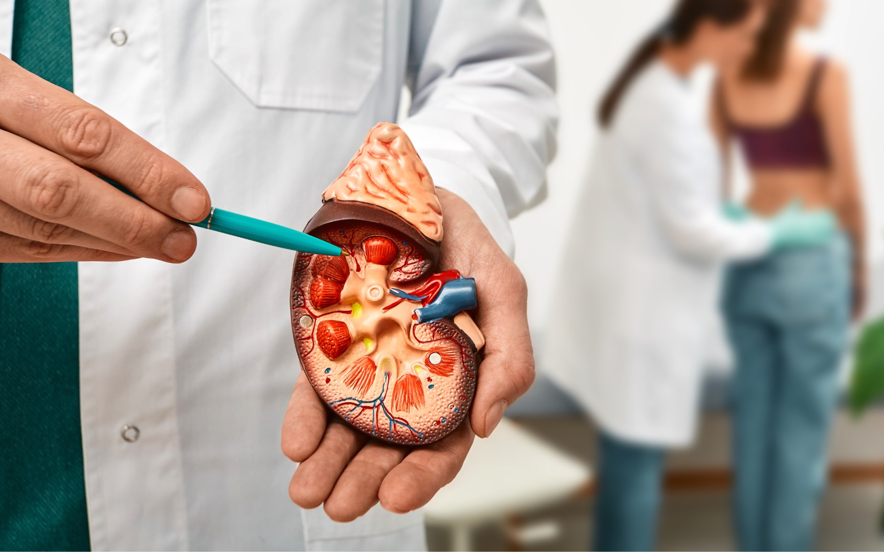 Tại sao ngày càng nhiều người suy thận?: "Sát thủ" hủy diệt thận đang ở trên mâm cơm hàng ngày