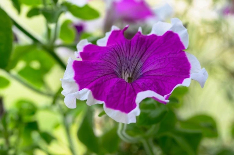 Những &yacute; tưởng 'đi&ecirc;n rồ' thay đổi thế giới - Ảnh 6.