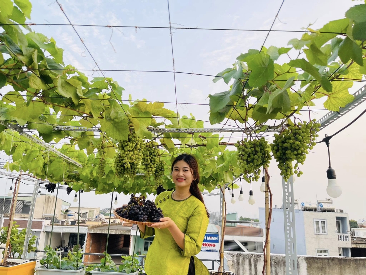 C&ocirc; g&aacute;i Đồng Nai biến s&acirc;n thượng 80 m2 th&agrave;nh khu vườn trĩu quả - Ảnh 11.