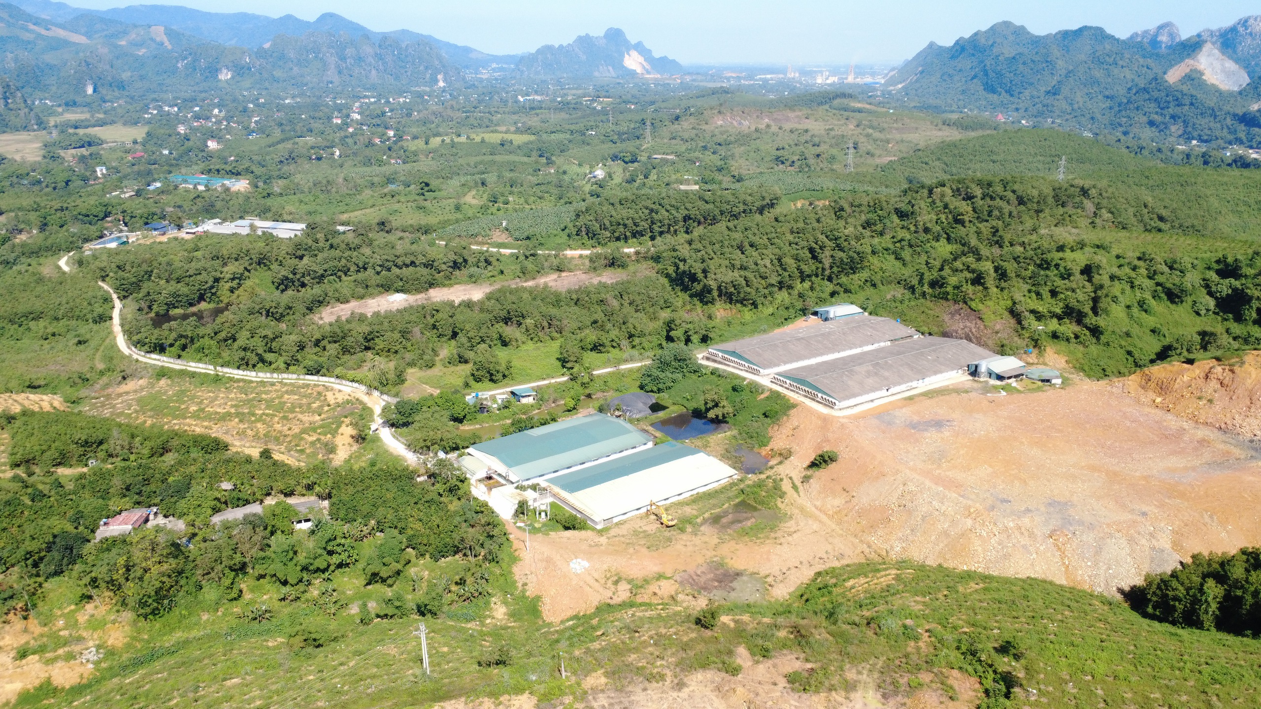 Xác minh tình trạng trang trại chăn nuôi tại Cao Dương , Phú Thọ năm 2026 - Ảnh 1.