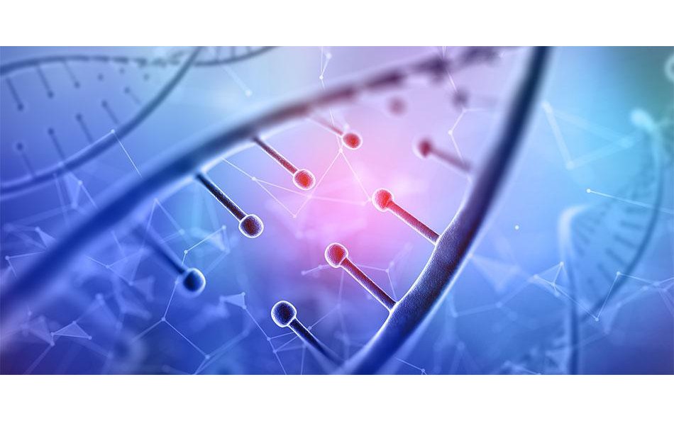 3 nguy&ecirc;n tắc ngăn ngừa tế b&agrave;o ung thư, người Việt cần biết v&agrave; thực hiện c&agrave;ng sớm c&agrave;ng tốt