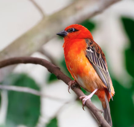 B&iacute; mật số cuối ng&agrave;y sinh &Acirc;m lịch: 4 con số được cho l&agrave; h&uacute;t t&agrave;i lộc mạnh nhất - Ảnh 2.