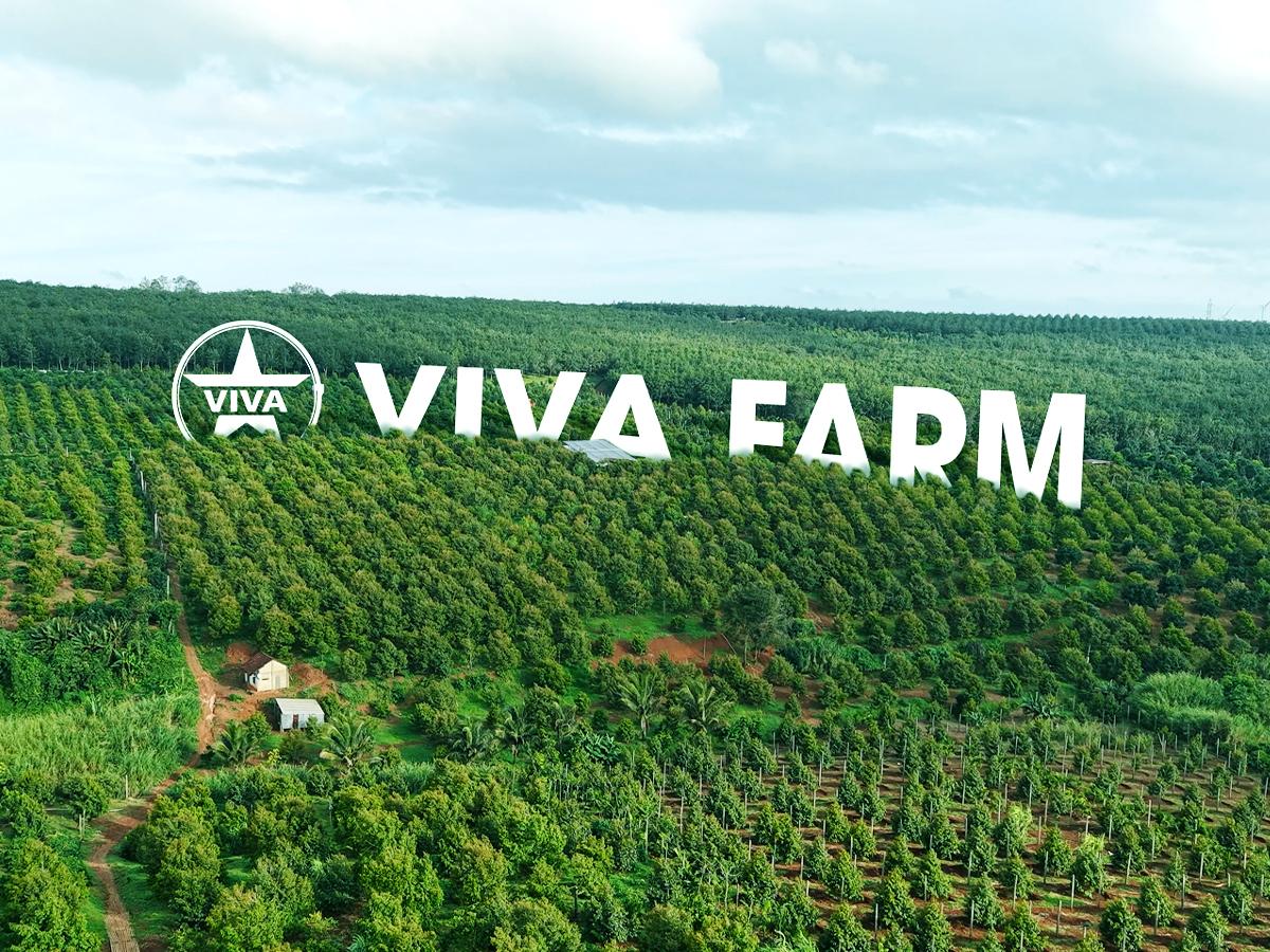 Hành trình từ nông trại Viva đến thị trường tỷ dân: Đưa cà phê Việt lên bản đồ thế giới - Ảnh 1. Hành trình từ nông trại Viva đến thị trường tỷ dân: Đưa cà phê Việt lên bản đồ thế giới - Ảnh 1.