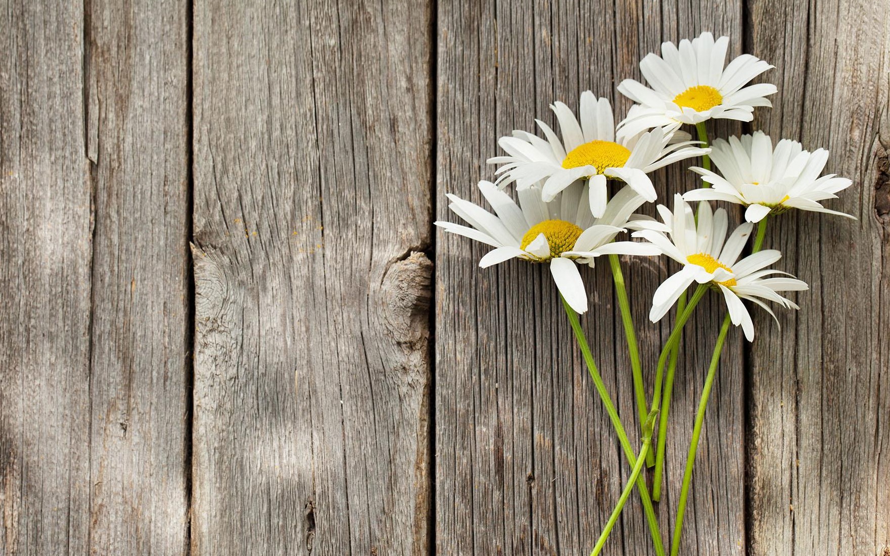 Số cuối ngày sinh Âm lịch của người sống tinh tế và biết yêu bản thân