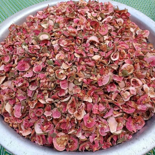 Thứ quà quê có vị chua chua, ruột hồng bắt mắt được nhiều người săn lùng - Ảnh 4.