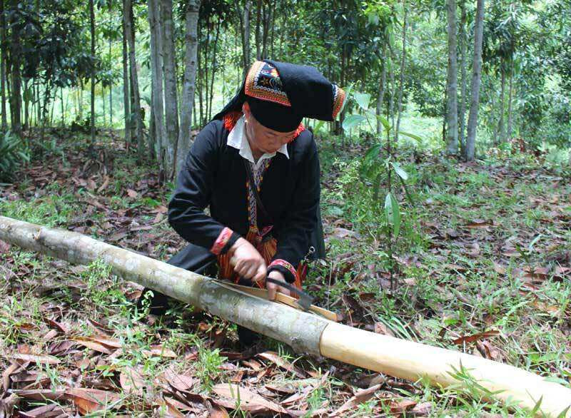 Thứ vỏ cây khô của đồng bào miền núi được các nước thích mê, đem về 6.500 tỷ - Ảnh 1.