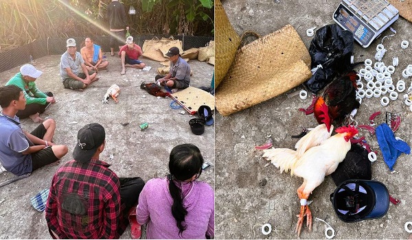 Triệt phá xới đá gà, bắt giữ 12 đối tượng- Ảnh 1.