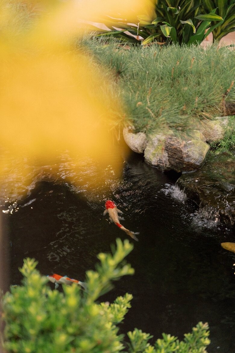 Bên trong biệt thự nhà vườn của chồng Á hậu Hương Ly: Cây cổ thụ tiền tỷ, hồ cá Koi và cầu đỏ đẹp như phim - Ảnh 5. Bên trong biệt thự nhà vườn của chồng Á hậu Hương Ly: Cây cổ thụ tiền tỷ, hồ cá Koi và cầu đỏ đẹp như phim - Ảnh 5.