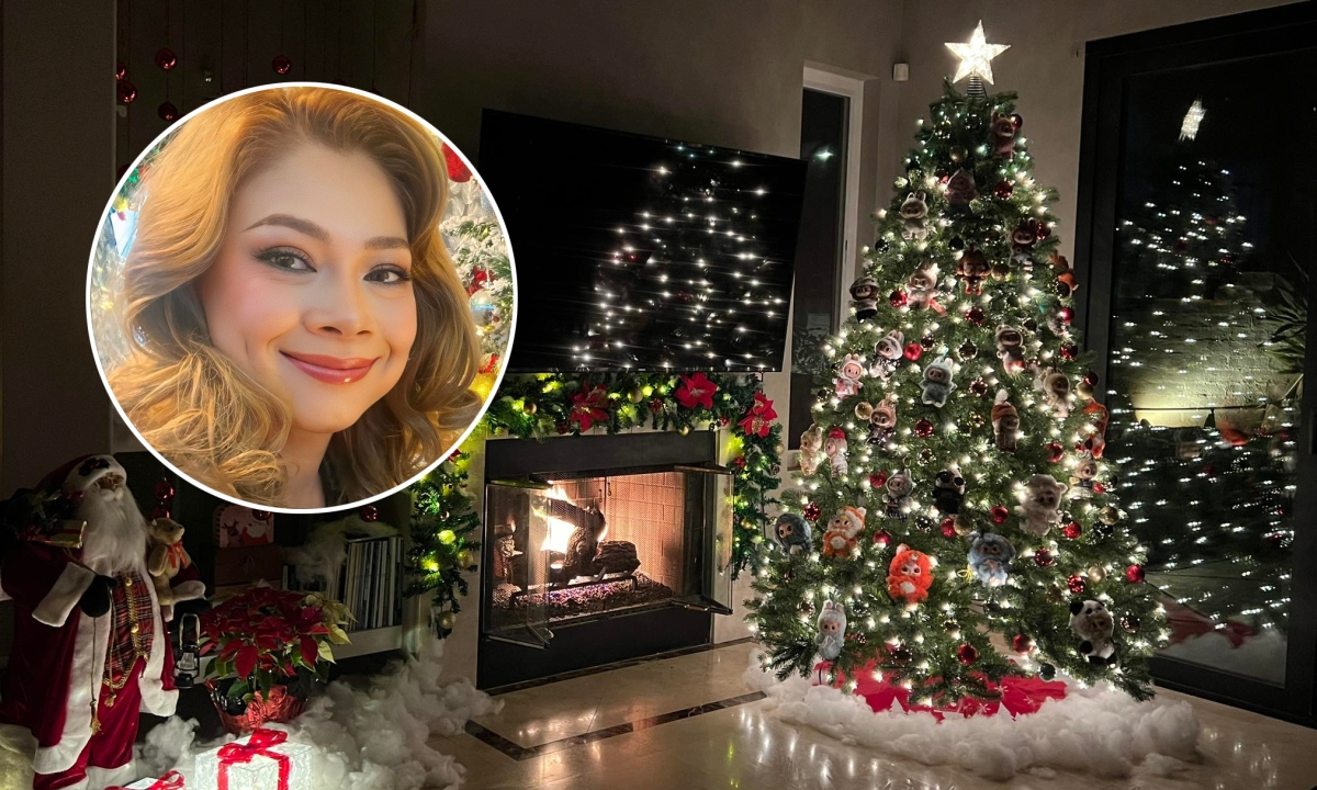 Đ&agrave;m Vĩnh Hưng ch&iacute;nh thức rời biệt thự triệu đ&ocirc; ở cư x&aacute; Bắc Hải - Ảnh 12.