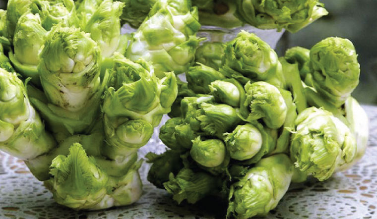 Hãy ăn nhiều loại rau này vào mùa đông: Nấu 2 món ngon miệng lại giúp nhuận tràng, long đờm và diệt khuẩn- Ảnh 1. Hãy ăn nhiều loại rau này vào mùa đông: Nấu 2 món ngon miệng lại giúp nhuận tràng, long đờm và diệt khuẩn- Ảnh 1.