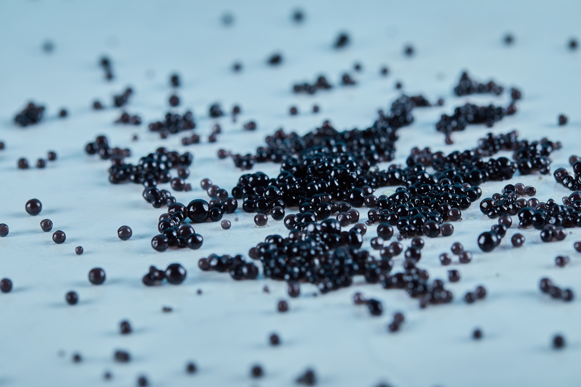 black-caviar-scattered-blue-table-01235278585026046122256-1739146358934-1739146359147490267705.jpg