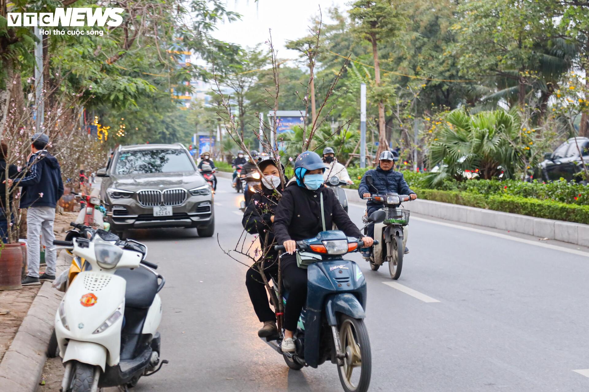 Hết Tết, người Hà Nội vẫn chi tiền triệu mua đào, lê rừng Tây Bắc - Ảnh 17.