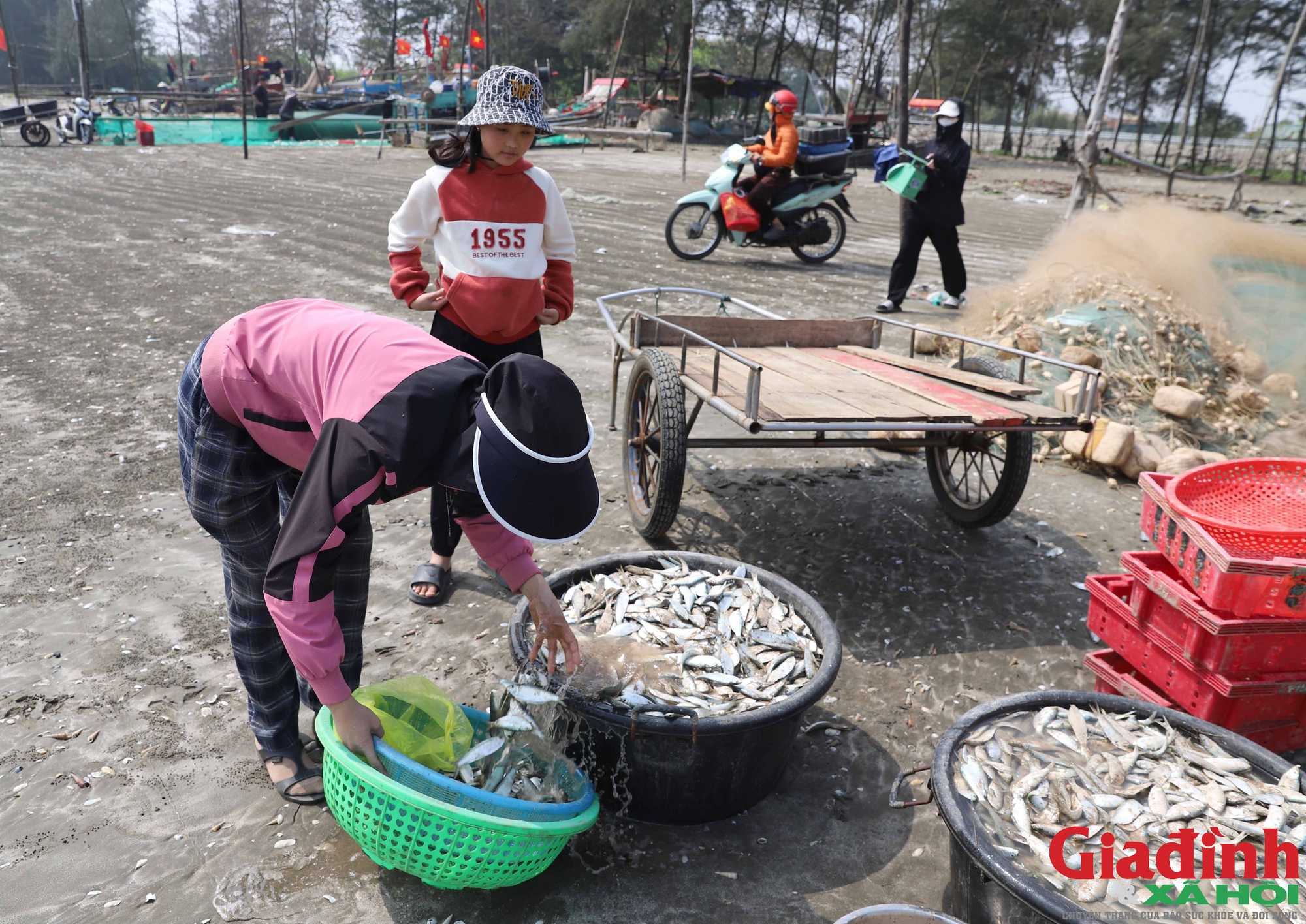 Về Nghệ An du xuân, ăn cá trích nướng than hồng thơm nức mũi- Ảnh 3.