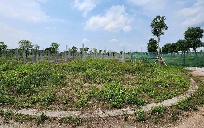 Tin sáng 15/2: Kịch bản lừa đảo đe doạ lộ thông tin thẻ tín dụng mới; Tin vui cho người lao động 45 tuổi mới bắt đầu tham gia BHXH - Ảnh 5.
